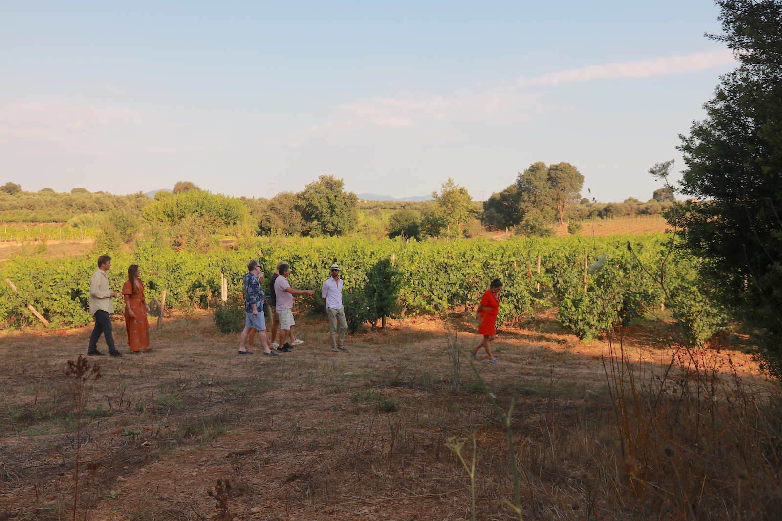 Rondleiding door de wijngaard van Domaine Dereskos