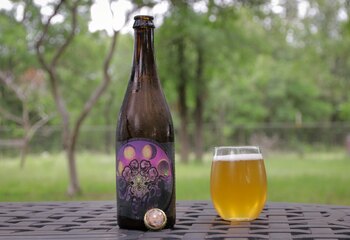 Bug Farm, Jester King brewery. A Farmhouse Ale at 5,1% ABV, refermented with watermelon and brewed with rosemary, lavender and mint. 