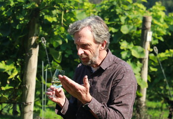 Nederlandse wijnmaker Henk Breugem van Wijngaard aan de Breede Beek