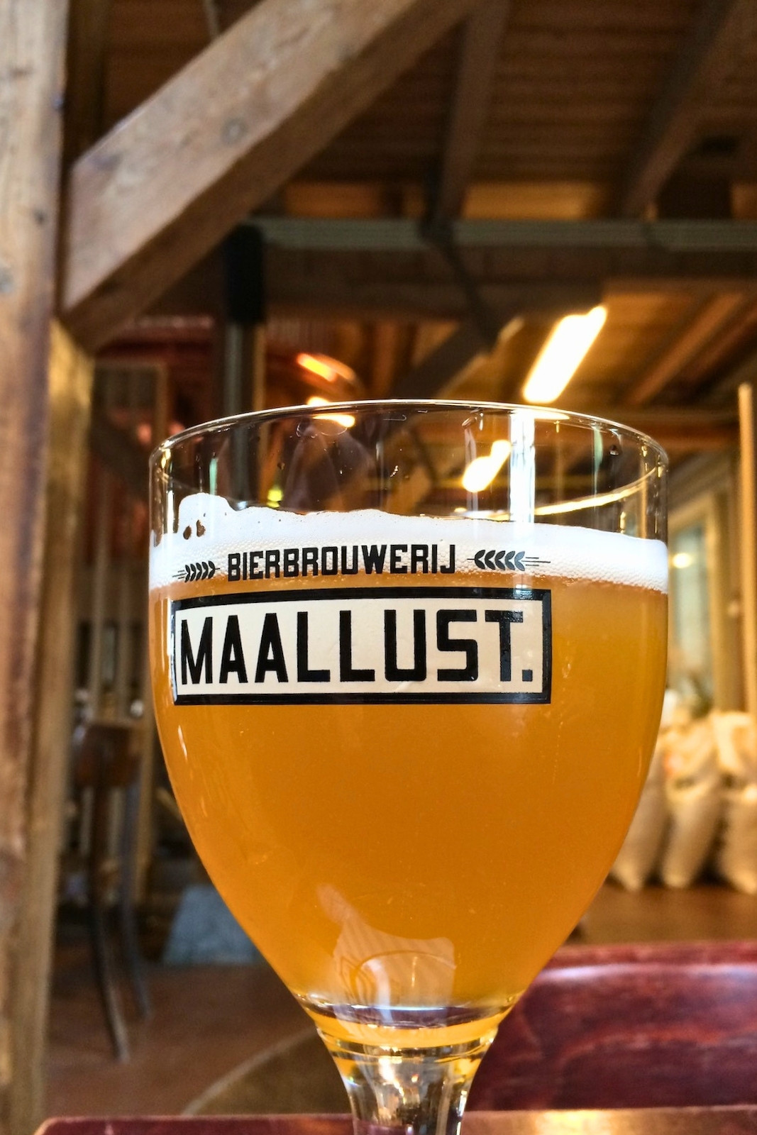 Maallust bier, vers van de tap