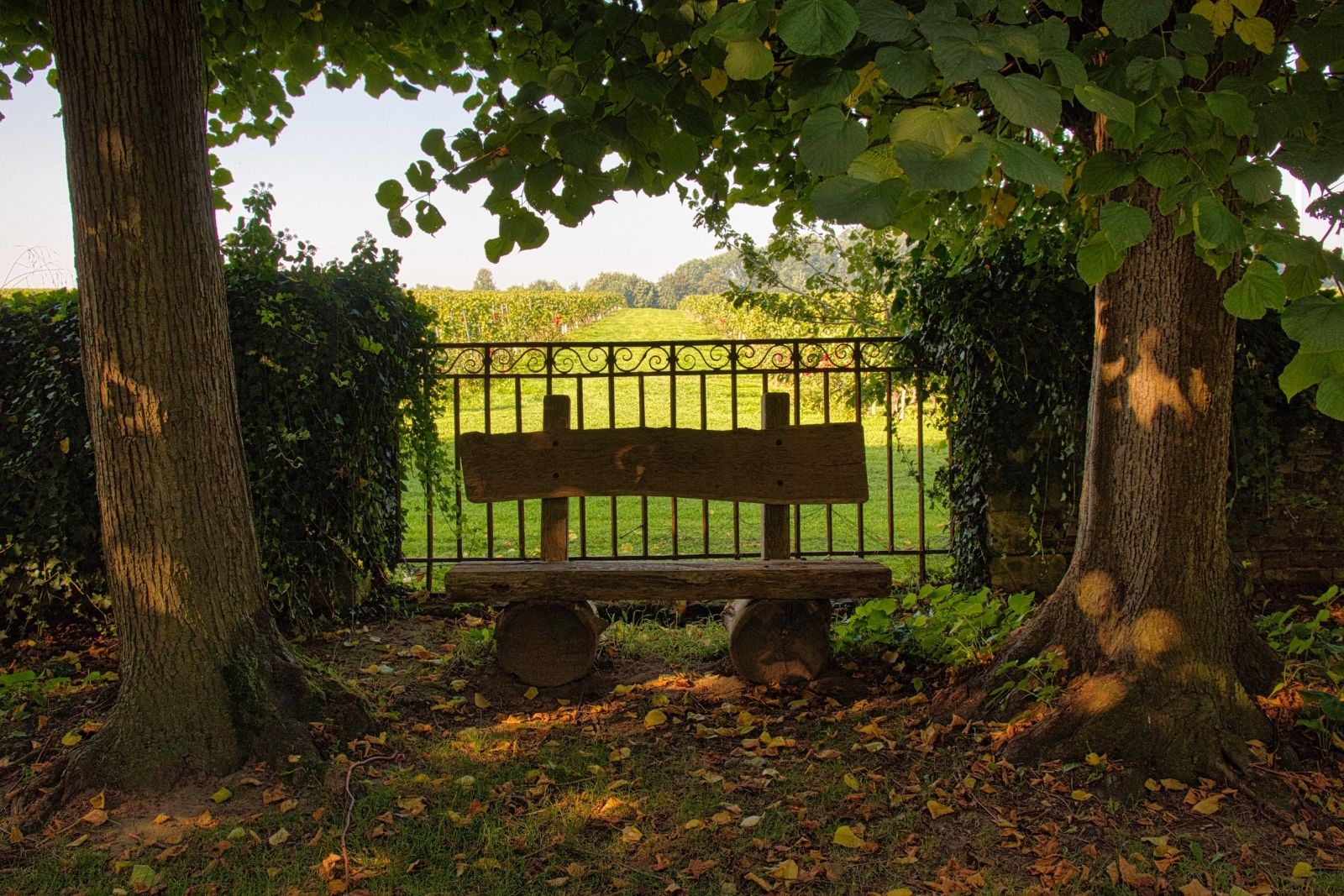 Romantisch zitje in het park van Wijnkasteel Genoels-Elderen