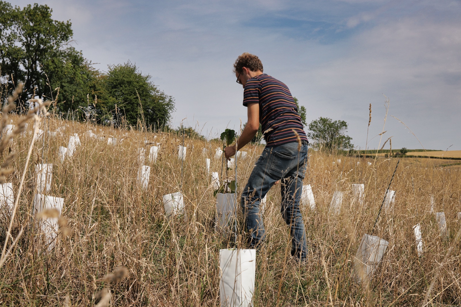 Chris Pelzer at work in the newly planted vineyard of Domein Aldenborgh.