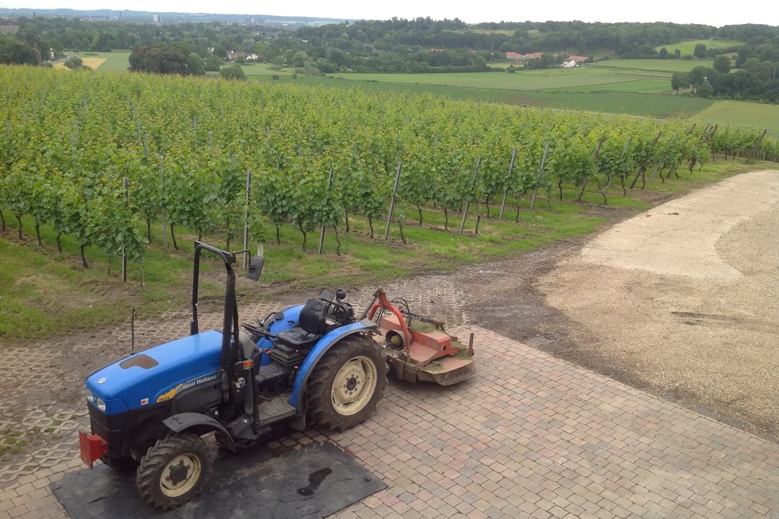 Top view over the vineyards of Wijngaard Apostelhoeve