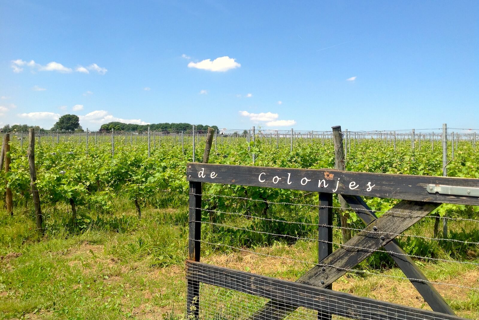 Entrance gate to vineyards of Dutch winery Wijnhoeve De Colonjes