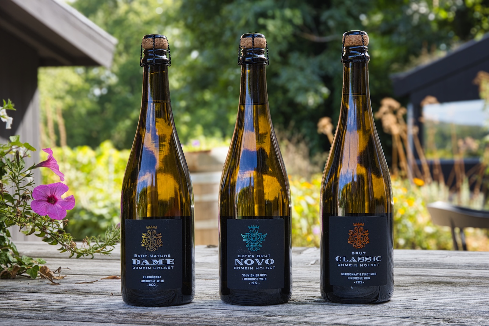 Domein Holset core range of traditional method sparkling wines