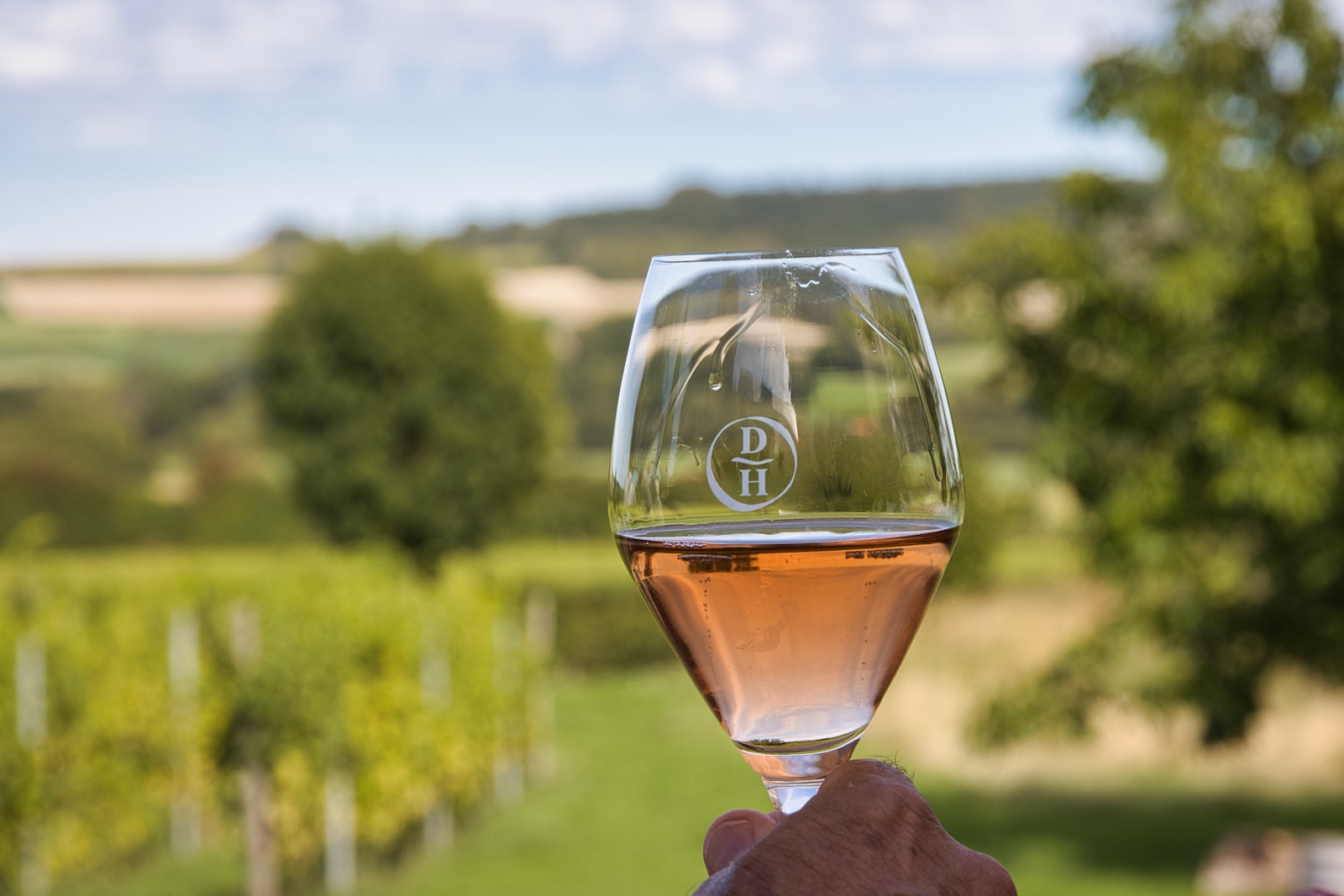 Domein Holset Ros&eacute; Brut (Pinot Noir)