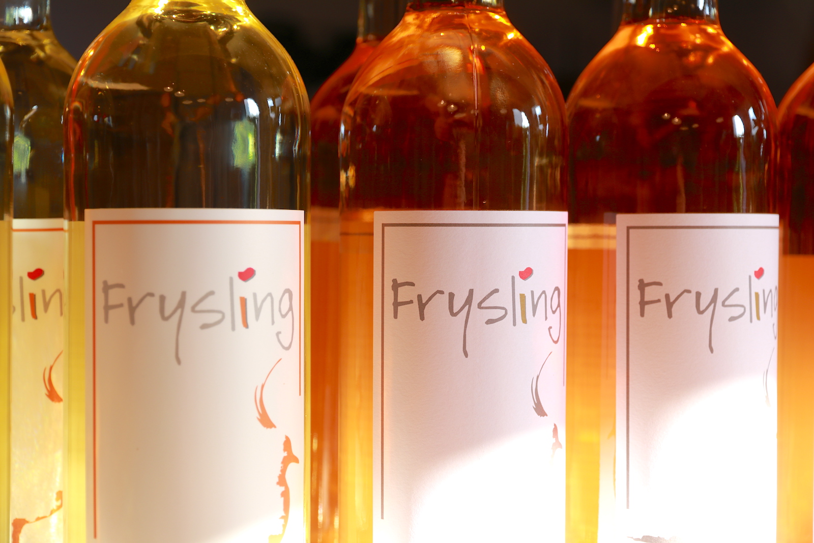 Dutch wines of Wijngaard De Frysling