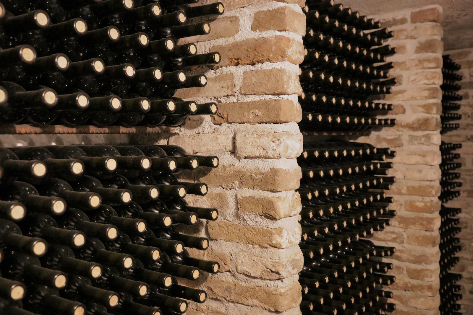 Wine cellar at Wijngoed Montferland