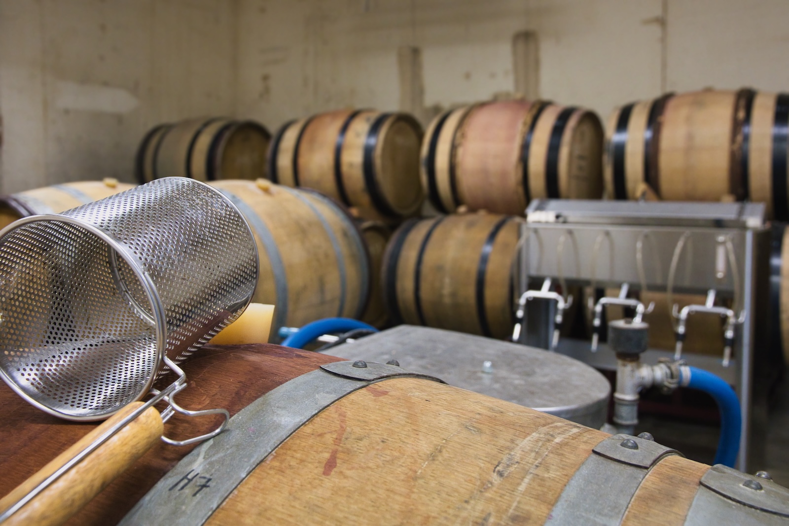Winecellar Wijndomein Stokhem