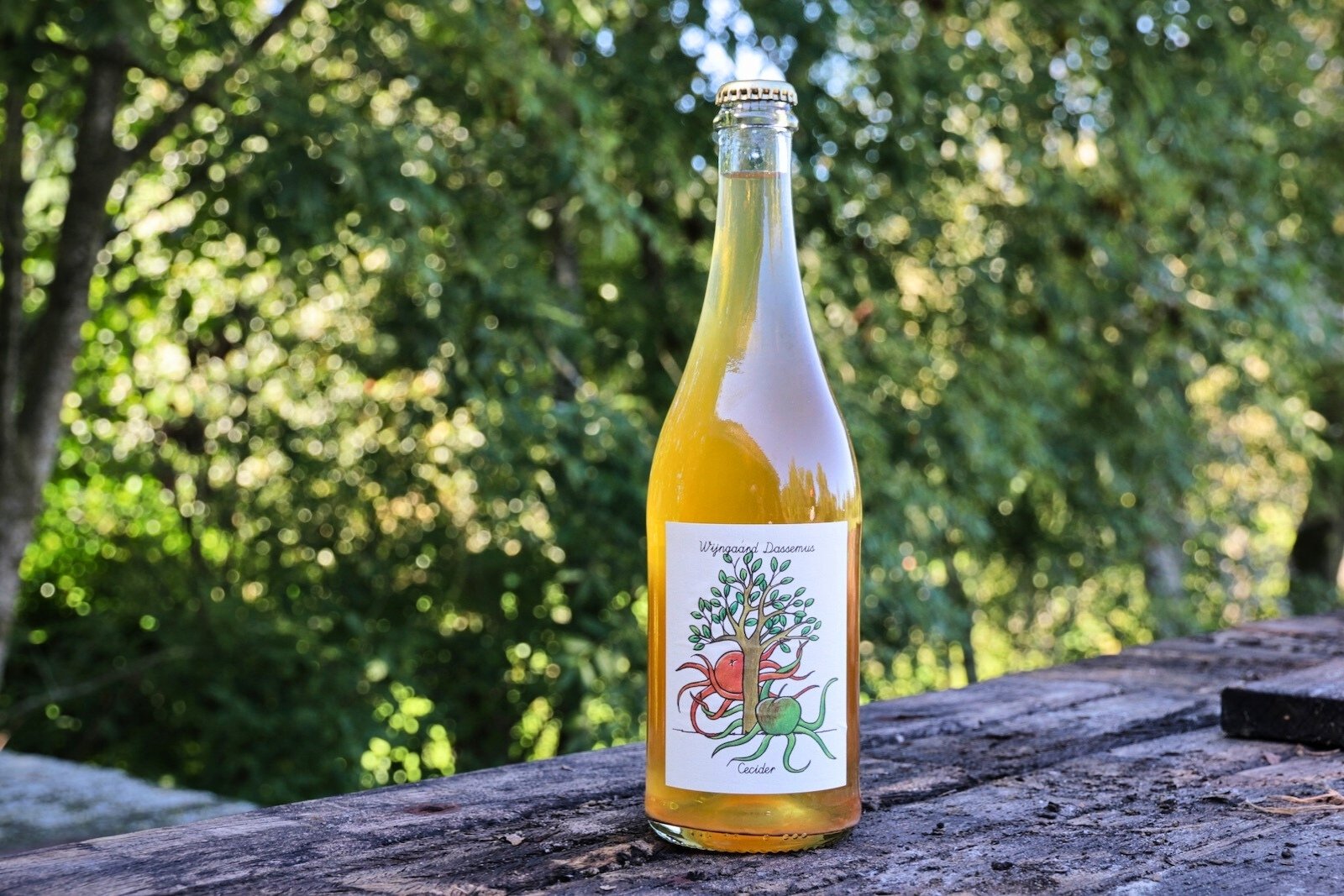 Wijngaard Dassemus Cecider, een appel cider crossover