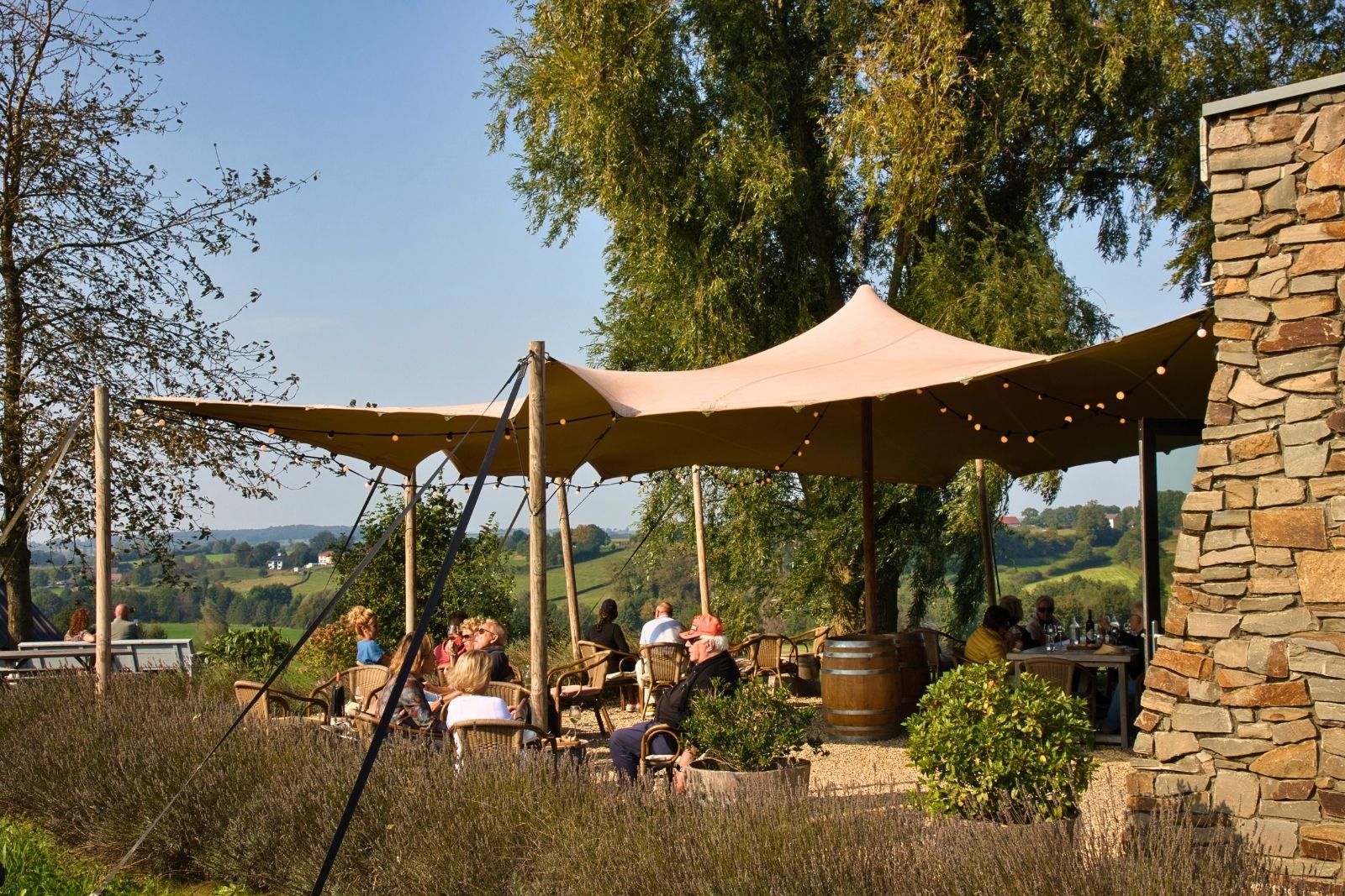 Terras van Wijngaard St. Martinus in Vijlen