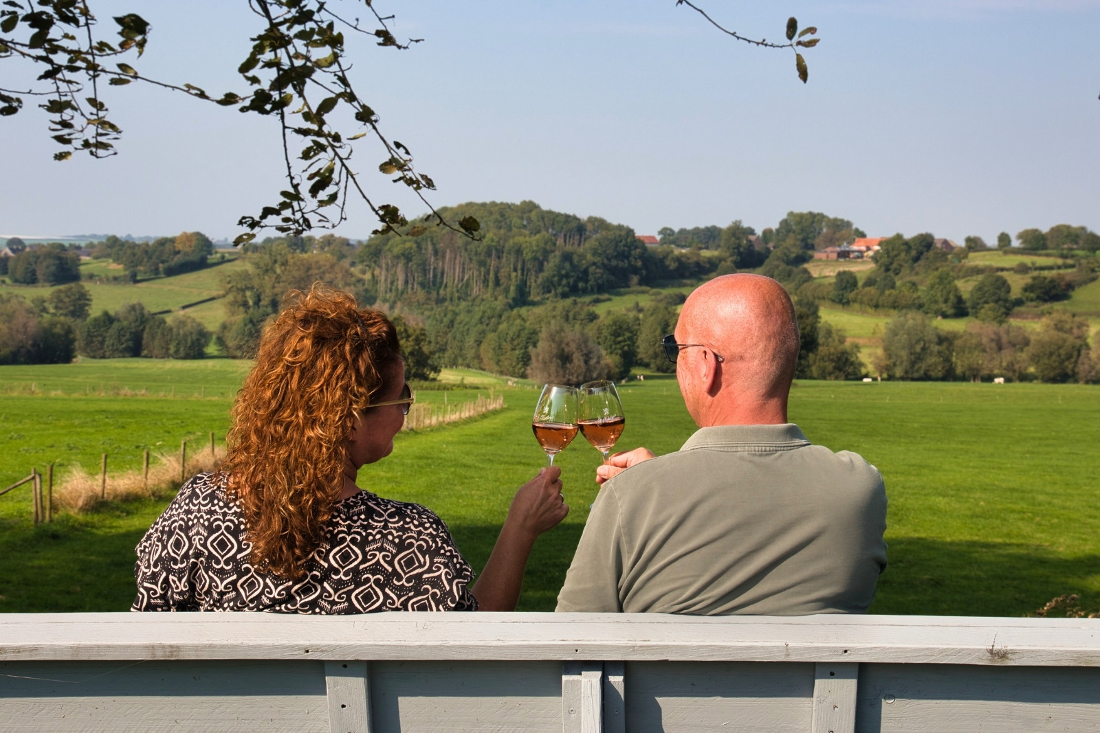 Uitzicht over het Limburgse heuvelland vanaf het terras bij Wijngaard St. Martinus