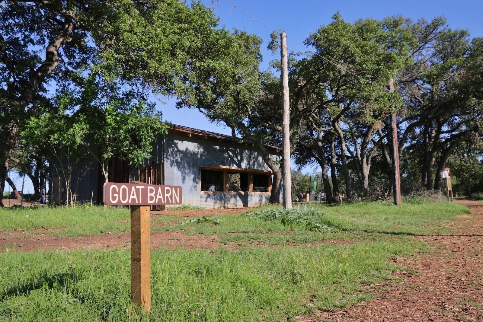 The goat barn at Jester King farm