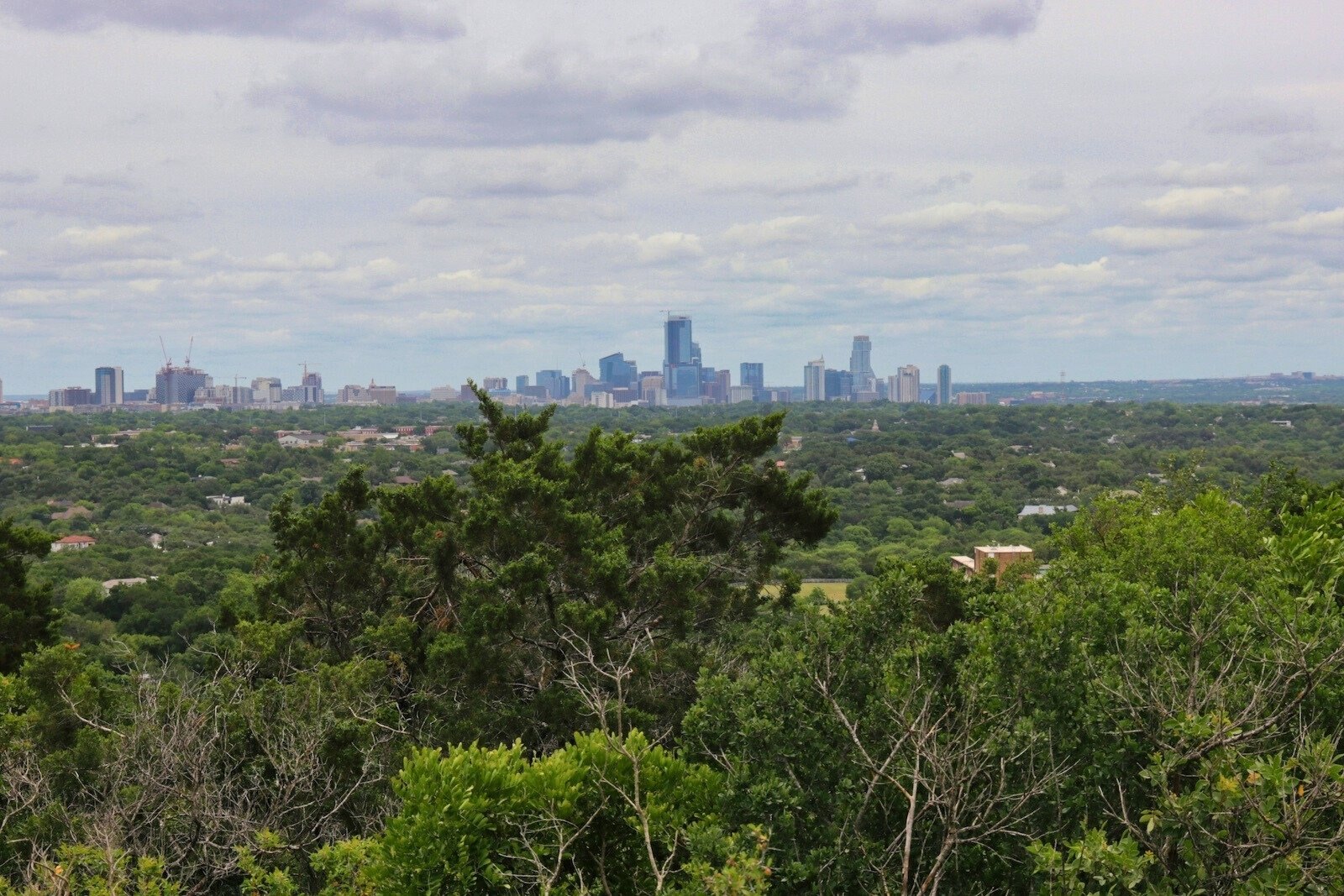 Skyline Austin from Mount Bonnell