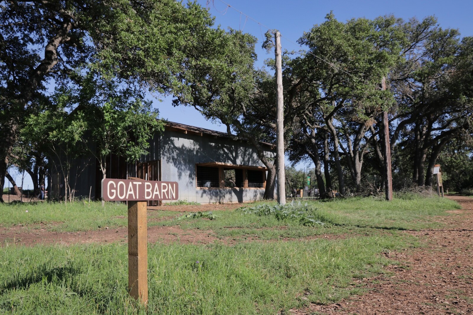 The goat barn at Jester King farm
