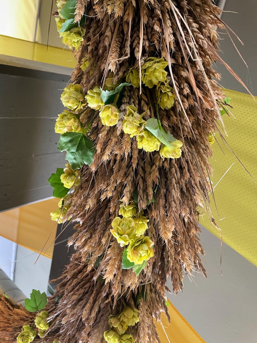 Strands of hops at Tiroler Bierhalle in Innsbruck