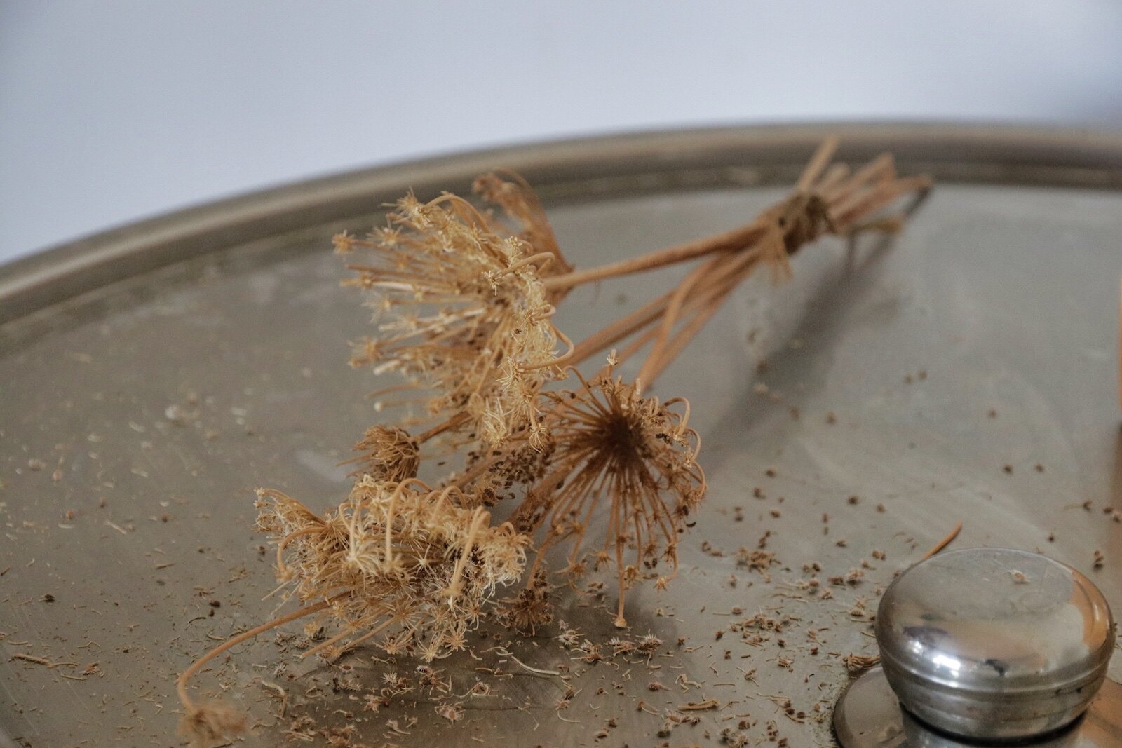 Fennel seeds, used for flavouring ouzo