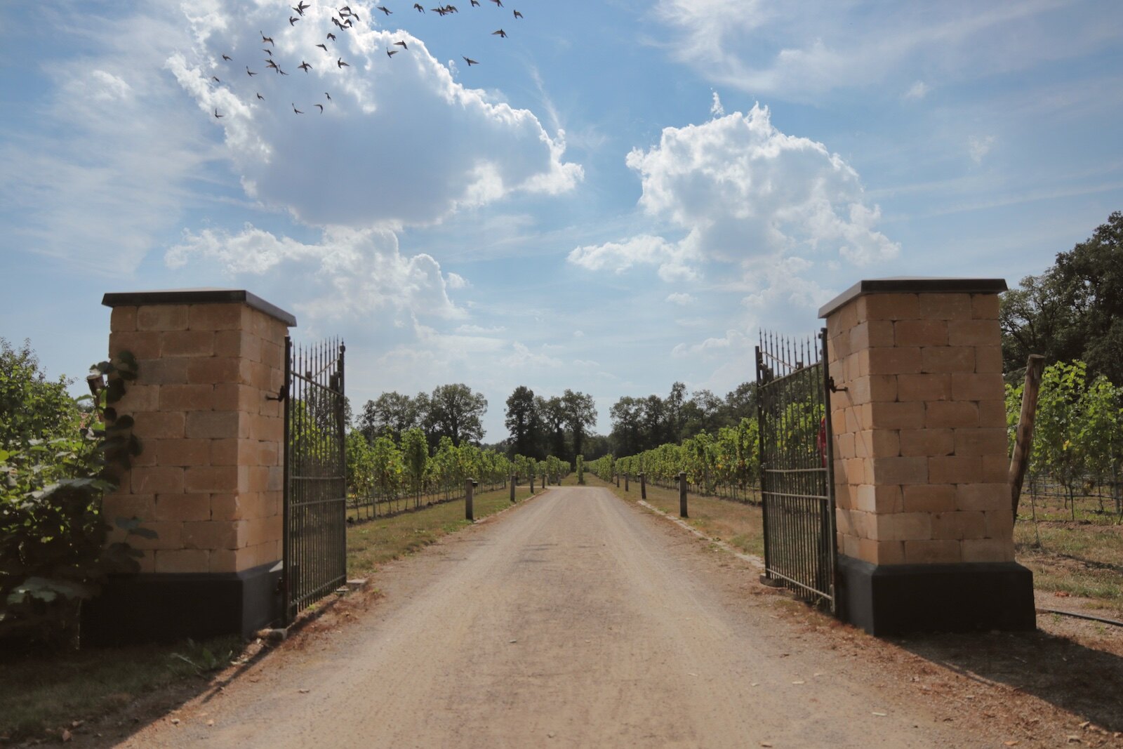 Entrance Dutch winery Hof van Twente