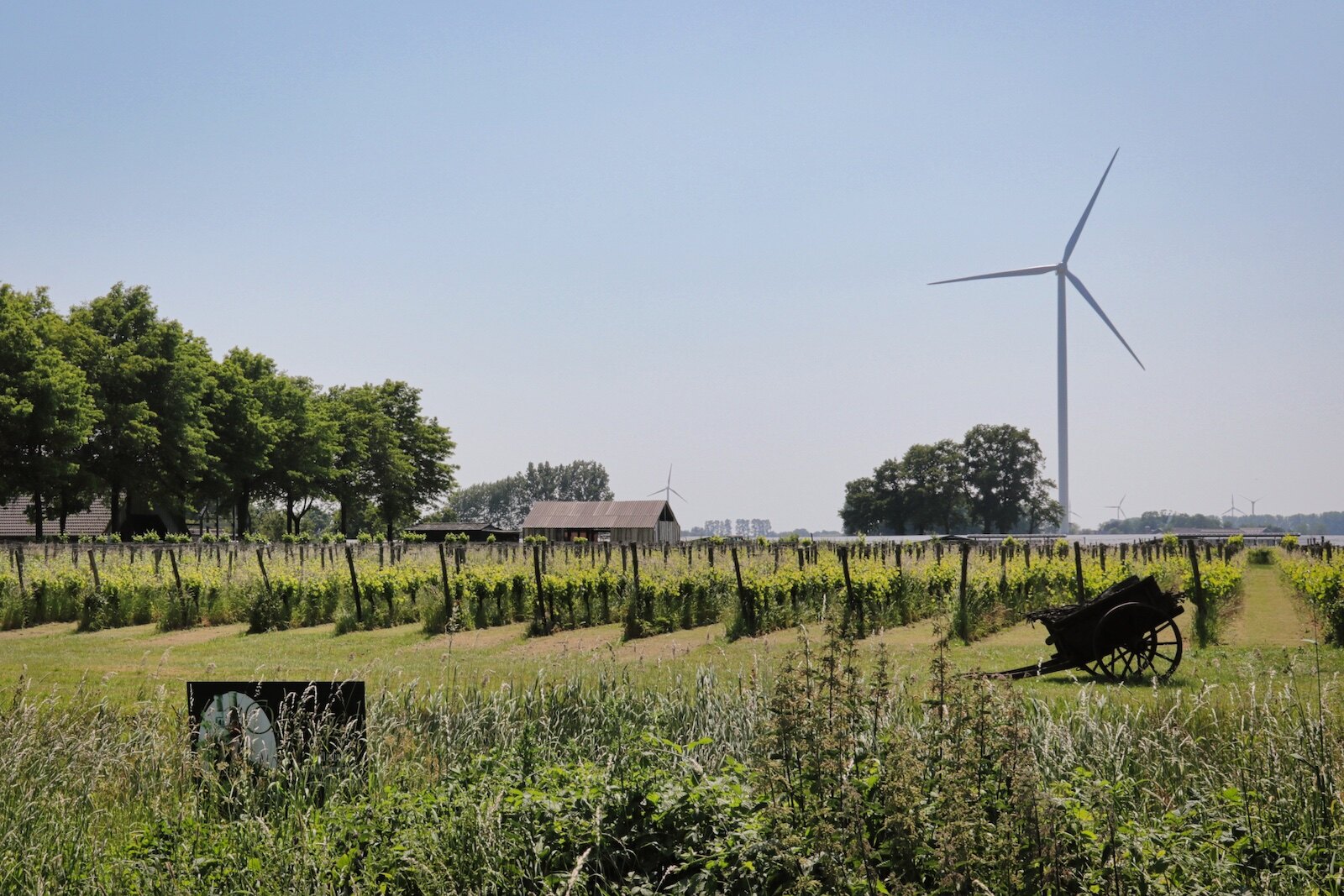 Wijngoed Montferland in Gendringen