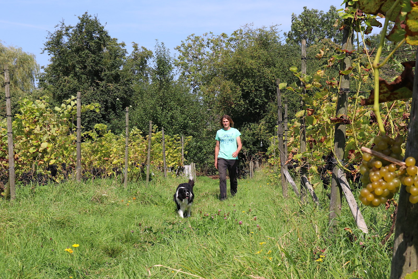 Winemaker Huib Overmars of Wijndomein Oude Waalstroom