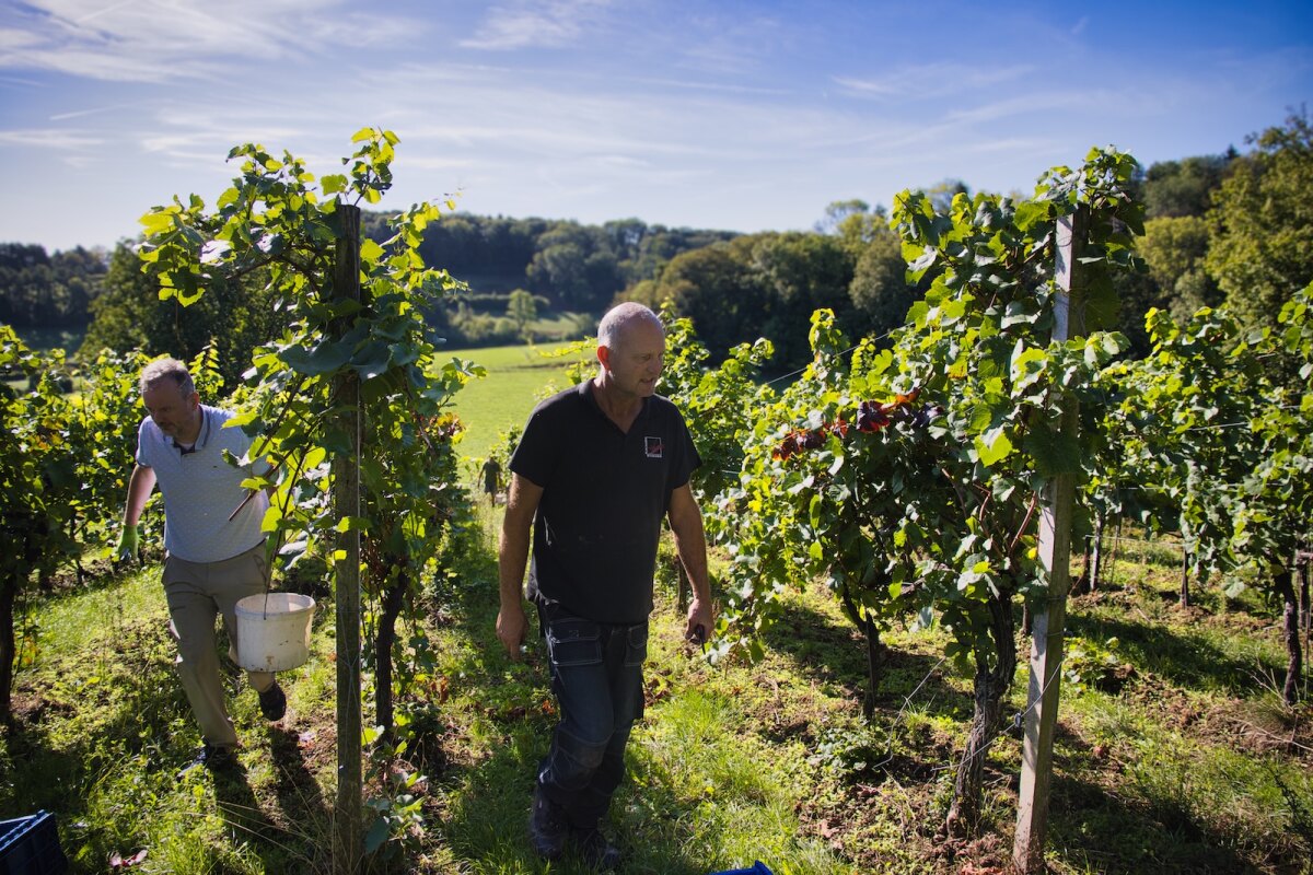 Jeroen van der Eng, winemaker and owner Wijndomein Stokhem