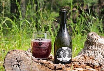 Bière de Lenoir, Jester King brewery. A barrel aged sour beer that is matured for eight to fourteen months before blending and refermention with Texas-grown Lenoir grapes.
