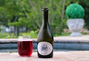 Bière de Merlot, Jester King brewery. A mildly sour, summery beer where the merlot grape clearly leaves its mark. A very bright and drinkable beer for the 8.5% ABV.