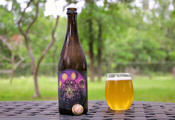 Bug Farm, Jester King brewery. A Farmhouse Ale at 5,1% ABV, refermented with watermelon and brewed with rosemary, lavender and mint.