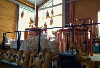 The copper brew kettles of Brouwerij Maximus in Utrecht