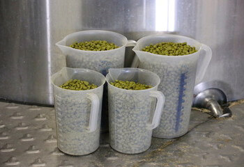 Hop pellets at Kompaan Bier