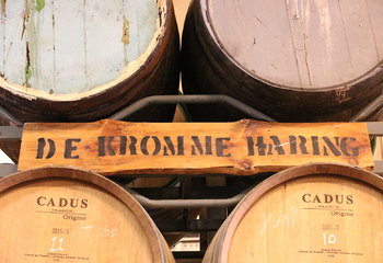 Wine and whisky barrels for barrel aged beers at De Kromme Haring 