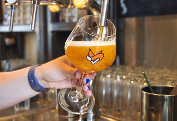 Verse getapt Vos bier bij Brasserie Aan de Gracht