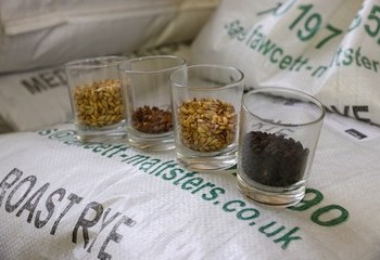 Malts... choices, choices...