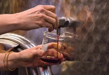 Genoelselderen Pinot Noir sample uit de rvs tanks in de wijnkelder