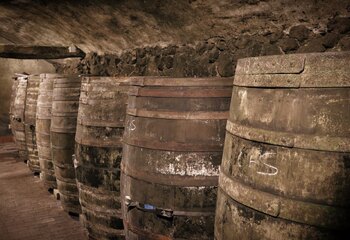 German 1000 litre barrels in the wine cellar of Domein Aldenborgh.