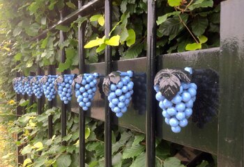 The beautiful entrance gate to Dutch winery Wijngaard Apostelhoeve