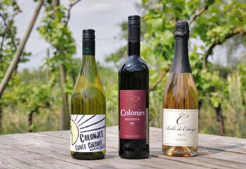 Dutch wines of winery De Colonjes in Groesbeek