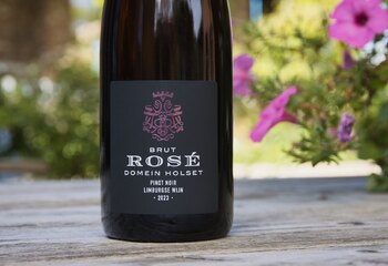 Domein Holset Brut Rosé