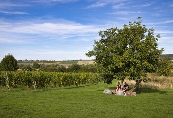 View from outdoor terrace at Domein Holset in South Limburg