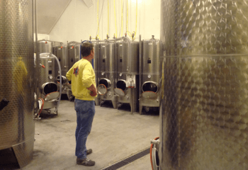 Winemaker Johan van de Velde of Wijnhoeve De Kleine Schorre