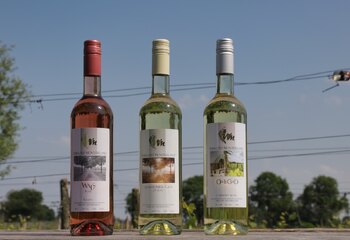 Selection of white and rosé wines from Wijngoed Montferland