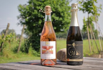 Sparkling wines from Wijngoed Montferland