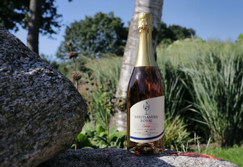 Reestlander Royal Senza 0.0 is a dry sparkling grape juice made from the muscat-bleu and regent grape.