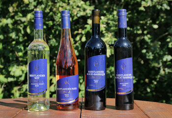 Selection of wines from Dutch winery Wijngoed De Reestlandhoeve