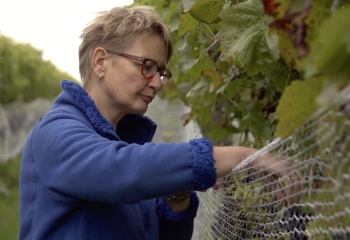 Dutch winemaker Wilma Huisman of Wijngoed De Reestlandhoeve