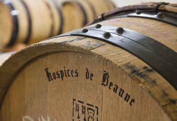 Bourgogne casks in the wine cellar of Wijndomein Stokhem
