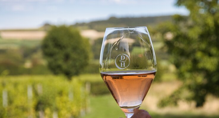 Domein Holset Wine Estate in Lemiers