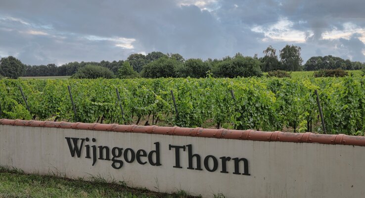 Wijngoed Thorn