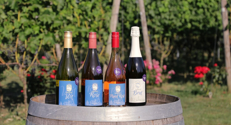 Auansati Vineyard