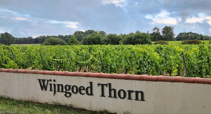 Thorn Wine Estate
